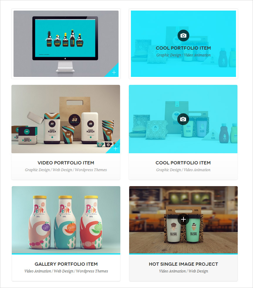 Portfolio Styles