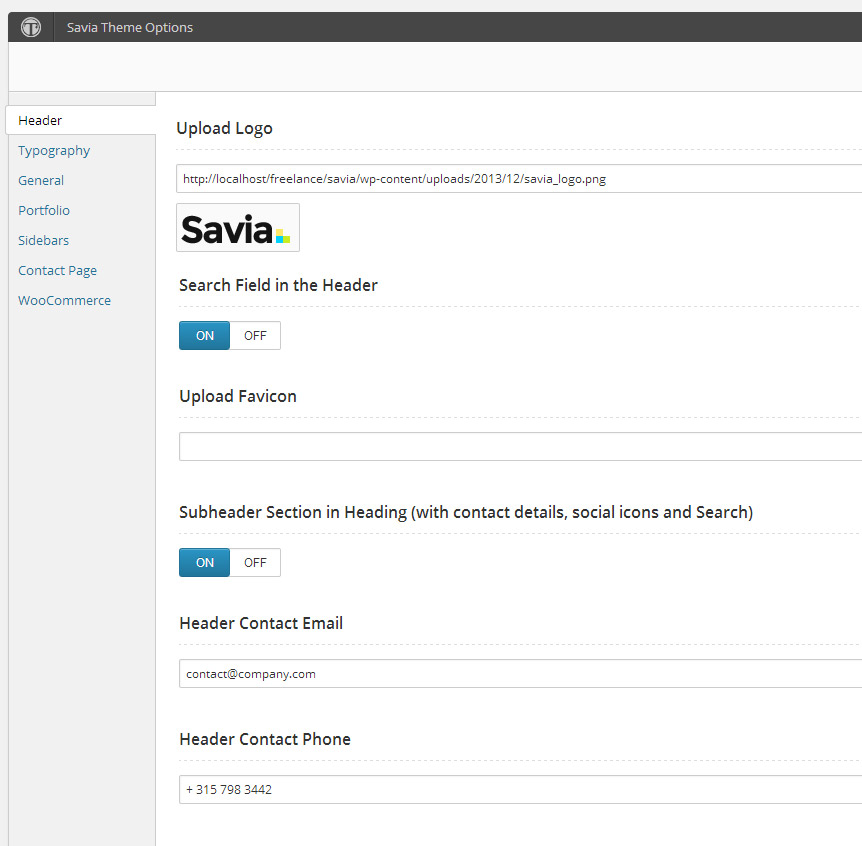 Theme Options