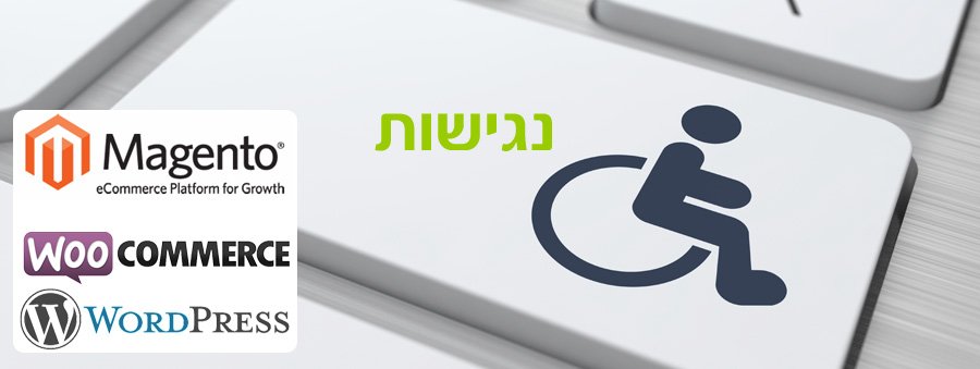 נגישות וורדפרסס wordpress