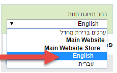 חנות וירטואלית כמה שפות